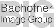 Image: Bachofner Image Group logo